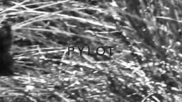  _DiIllerGlobal_Agency_ArtistRepresentation_Photography_Videography_Berlin_Germany_Milan_Italy_Globally