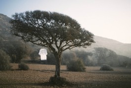 _DiIllerGlobal_Agency_ArtistRepresentation_Photography_Videography_Berlin_Germany_Milan_Italy_Globally