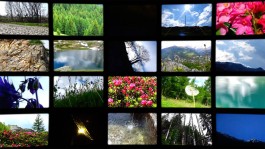 _DiIllerGlobal_Agency_ArtistRepresentation_Photography_Videography_Berlin_Germany_Milan_Italy_Globally