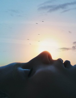 _DiIllerGlobal_Agency_ArtistRepresentation_Photography_Videography_Berlin_Germany_Milan_Italy_Globally