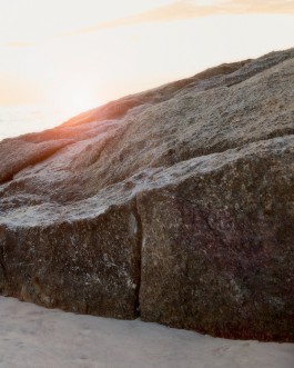 _DiIllerGlobal_Agency_ArtistRepresentation_Photography_Videography_Berlin_Germany_Milan_Italy_Globally