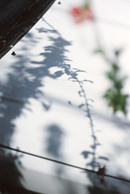 _DiIllerGlobal_Agency_ArtistRepresentation_Photography_Videography_Berlin_Germany_Milan_Italy_Globally