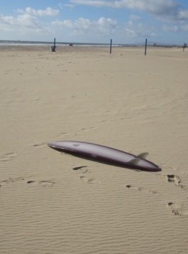 _DiIllerGlobal_Agency_ArtistRepresentation_Photography_Videography_Berlin_Germany_Milan_Italy_Globally