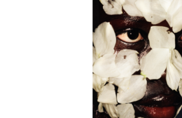 _DiIllerGlobal_Agency_ArtistRepresentation_Photography_Videography_Berlin_Germany_Milan_Italy_Globally