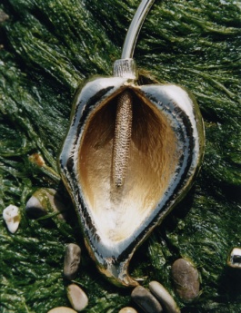 _DiIllerGlobal_Agency_ArtistRepresentation_Photography_Videography_Berlin_Germany_Milan_Italy_Globally