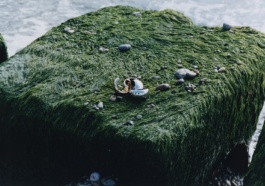 _DiIllerGlobal_Agency_ArtistRepresentation_Photography_Videography_Berlin_Germany_Milan_Italy_Globally