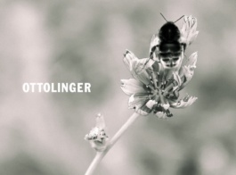 _DiIllerGlobal_Agency_ArtistRepresentation_Photography_Videography_Berlin_Germany_Milan_Italy_Globally