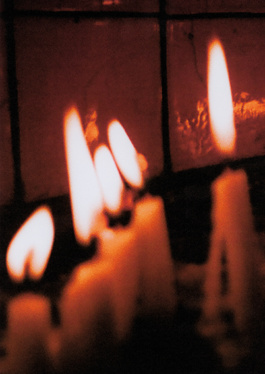 _DiIllerGlobal_Agency_ArtistRepresentation_Photography_Videography_Berlin_Germany_Milan_Italy_Globally