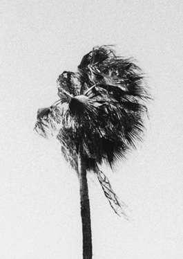 _DiIllerGlobal_Agency_ArtistRepresentation_Photography_Videography_Berlin_Germany_Milan_Italy_Globally