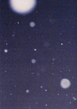 _DiIllerGlobal_Agency_ArtistRepresentation_Photography_Videography_Berlin_Germany_Milan_Italy_Globally