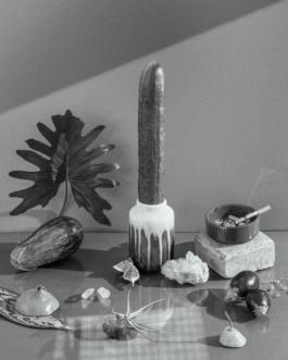 _DiIllerGlobal_Agency_ArtistRepresentation_Photography_Videography_Berlin_Germany_Milan_Italy_Globally