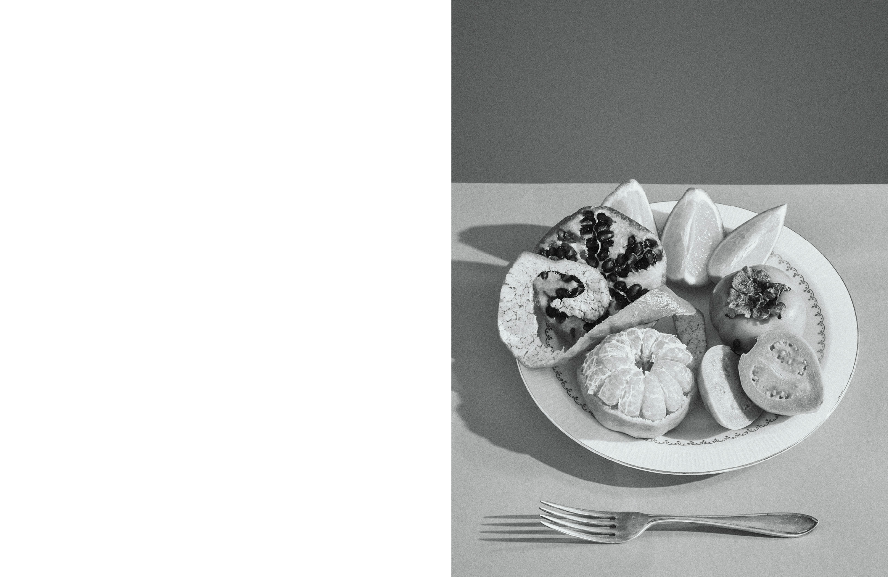 _DiIllerGlobal_Agency_ArtistRepresentation_Photography_Videography_Berlin_Germany_Milan_Italy_Globally