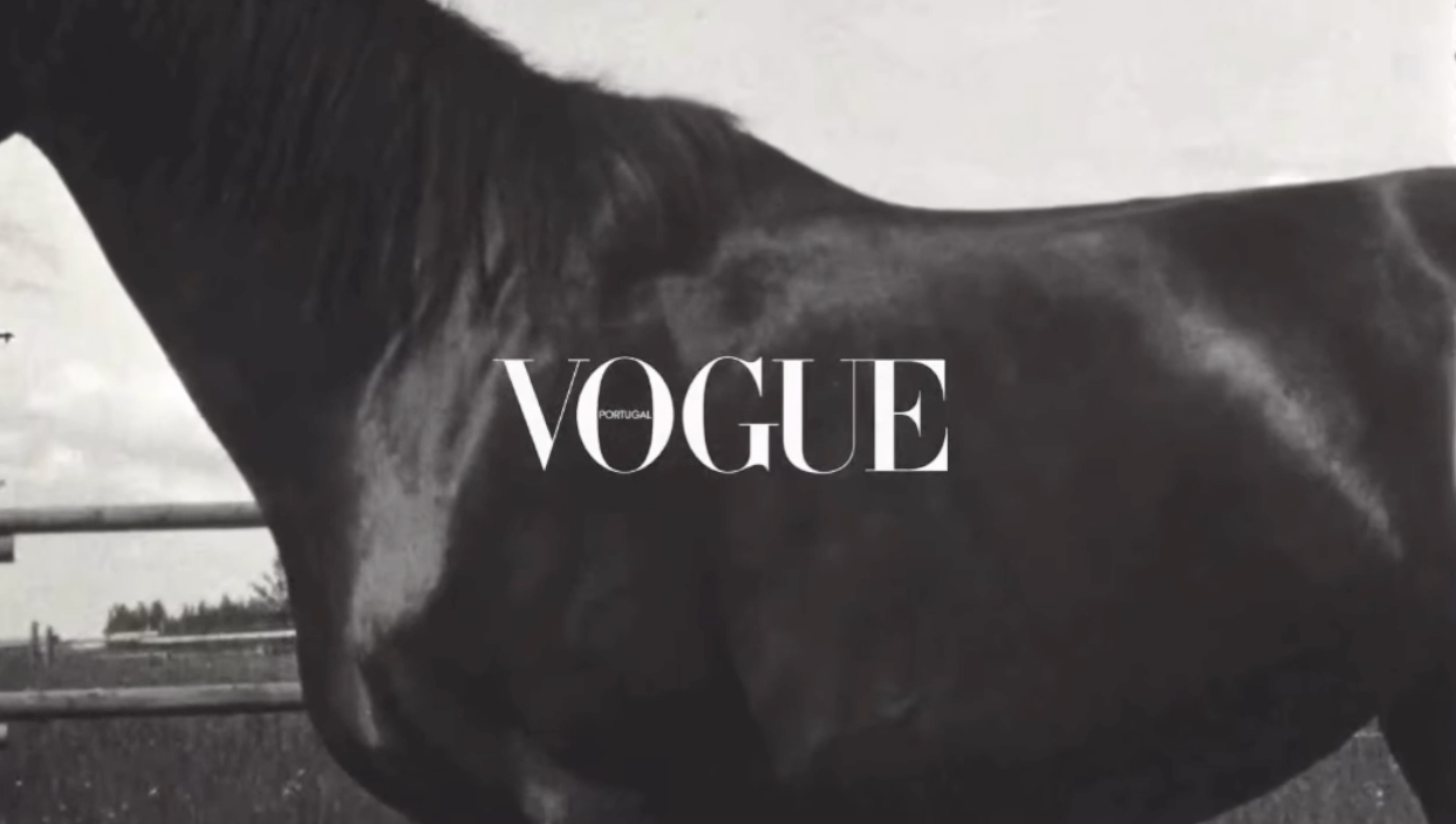  _DiIllerGlobal_Agency_ArtistRepresentation_Photography_Videography_Berlin_Germany_Milan_Italy_Globally